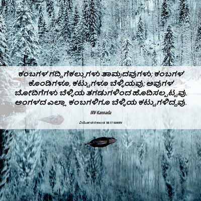 Picture 06 - ವಿಮೋಚನಕಾಂಡ 38:17 KANIRV - ಕಂಬಗಳ - Bible Verse Picture