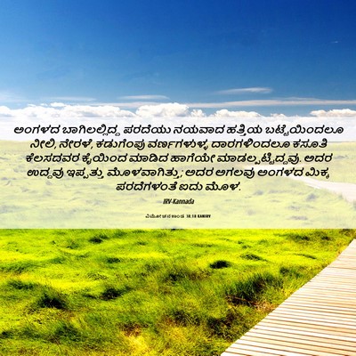 Picture 06 - ವಿಮೋಚನಕಾಂಡ 38:18 KANIRV - ಅಂಗಳದ - Bible Verse Picture