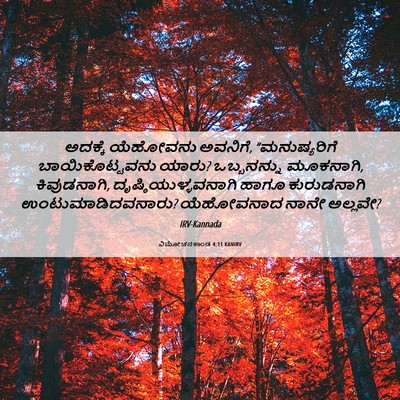 Picture 06 - ವಿಮೋಚನಕಾಂಡ 4:11 KANIRV - ಅದಕ್ಕೆ ಯೆಹೋವನು - Bible Verse Picture
