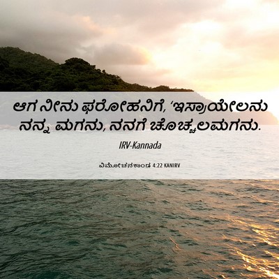 Picture 06 - ವಿಮೋಚನಕಾಂಡ 4:22 KANIRV - ಆಗ ನೀನು ಫರೋಹನಿಗೆ, - Bible Verse Picture
