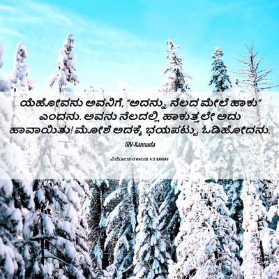 Picture 06 - ವಿಮೋಚನಕಾಂಡ 4:3 KANIRV - ಯೆಹೋವನು ಅವನಿಗೆ, - Bible Verse Picture