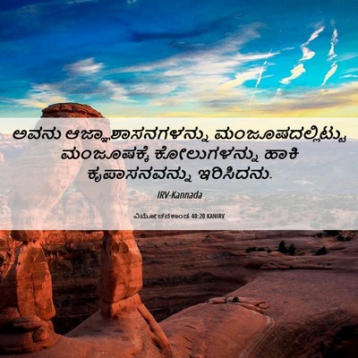 Picture 06 - ವಿಮೋಚನಕಾಂಡ 40:20 KANIRV - ಅವನು - Bible Verse Picture
