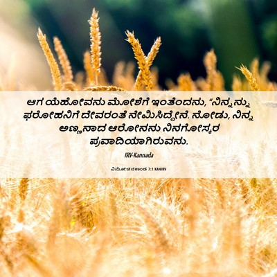 Picture 06 - ವಿಮೋಚನಕಾಂಡ 7:1 KANIRV - ಆಗ ಯೆಹೋವನು ಮೋಶೆಗೆ - Bible Verse Picture