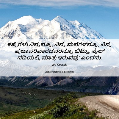 Picture 06 - ವಿಮೋಚನಕಾಂಡ 8:11 KANIRV - ಕಪ್ಪೆಗಳು - Bible Verse Picture