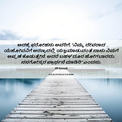 Picture 06 - ವಿಮೋಚನಕಾಂಡ 8:28 KANIRV - ಅದಕ್ಕೆ ಫರೋಹನು - Bible Verse Picture