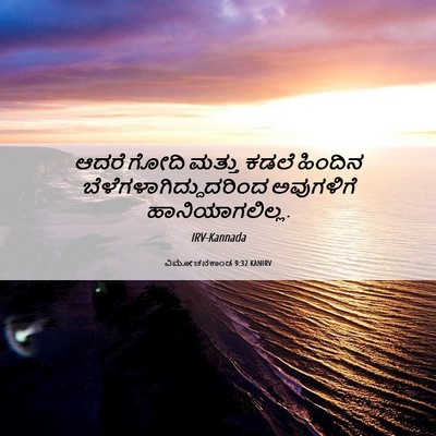 Picture 06 - ವಿಮೋಚನಕಾಂಡ 9:32 KANIRV - ಆದರೆ ಗೋದಿ ಮತ್ತು - Bible Verse Picture