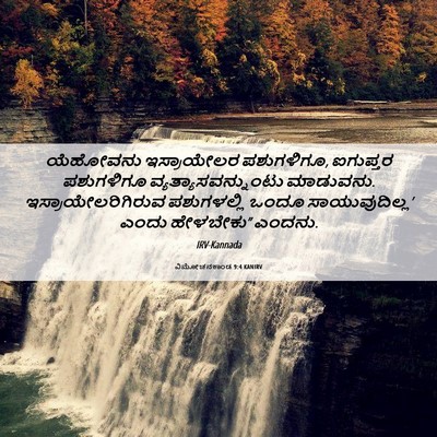 Picture 06 - ವಿಮೋಚನಕಾಂಡ 9:4 KANIRV - ಯೆಹೋವನು ಇಸ್ರಾಯೇಲರ - Bible Verse Picture