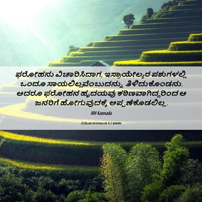 Picture 06 - ವಿಮೋಚನಕಾಂಡ 9:7 KANIRV - ಫರೋಹನು - Bible Verse Picture