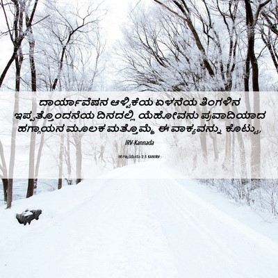 Picture 06 - ಹಗ್ಗಾಯನು 2:1 KANIRV - ದಾರ್ಯಾವೆಷನ - Bible Verse Picture