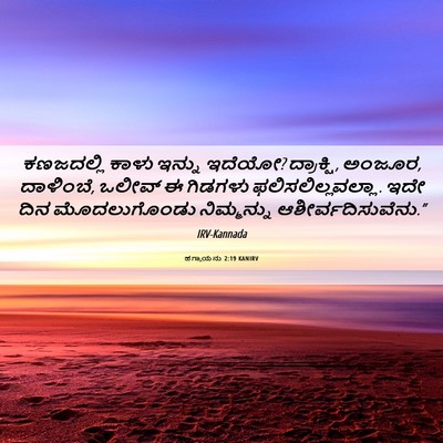 Picture 06 - ಹಗ್ಗಾಯನು 2:19 KANIRV - ಕಣಜದಲ್ಲಿ ಕಾಳು - Bible Verse Picture