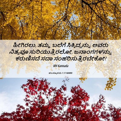 Picture 06 - ಹಬಕ್ಕೂಕನು 1:17 KANIRV - ಹೀಗಿರಲು, ತಮ್ಮ - Bible Verse Picture