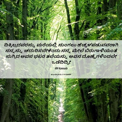 Picture 06 - ಹಬಕ್ಕೂಕನು 3:14 KANIRV - ದಿಕ್ಕಿಲ್ಲದವರನ್ನು - Bible Verse Picture