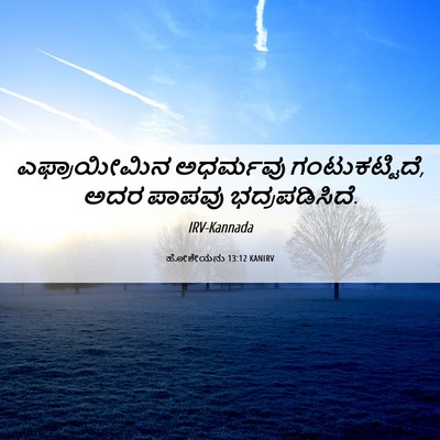 Picture 06 - ಹೋಶೇಯನು 13:12 KANIRV - ಎಫ್ರಾಯೀಮಿನ - Bible Verse Picture