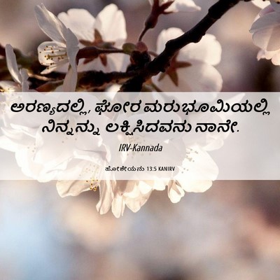 Picture 06 - ಹೋಶೇಯನು 13:5 KANIRV - ಅರಣ್ಯದಲ್ಲಿ, ಘೋರ - Bible Verse Picture