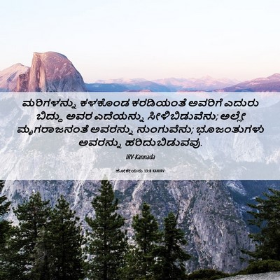 Picture 06 - ಹೋಶೇಯನು 13:8 KANIRV - ಮರಿಗಳನ್ನು ಕಳಕೊಂಡ - Bible Verse Picture