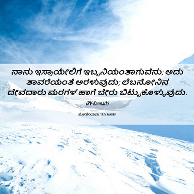 Picture 06 - ಹೋಶೇಯನು 14:5 KANIRV - ನಾನು ಇಸ್ರಾಯೇಲಿಗೆ - Bible Verse Picture