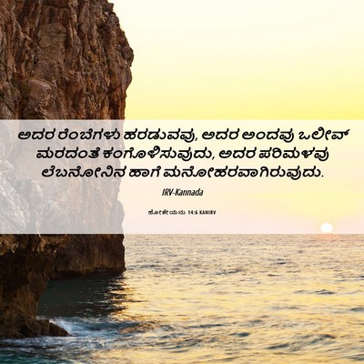 Picture 06 - ಹೋಶೇಯನು 14:6 KANIRV - ಅದರ ರೆಂಬೆಗಳು - Bible Verse Picture