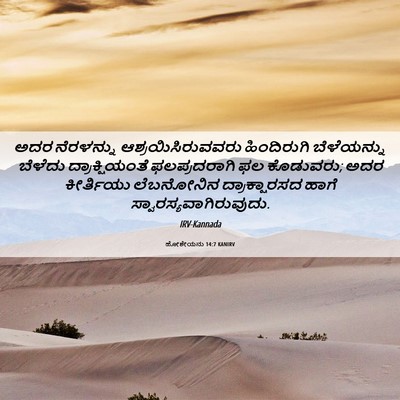 Picture 06 - ಹೋಶೇಯನು 14:7 KANIRV - ಅದರ ನೆರಳನ್ನು - Bible Verse Picture