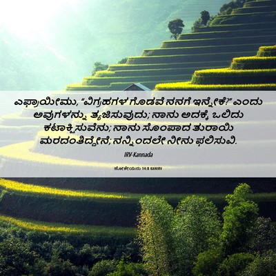 Picture 06 - ಹೋಶೇಯನು 14:8 KANIRV - ಎಫ್ರಾಯೀಮು, - Bible Verse Picture