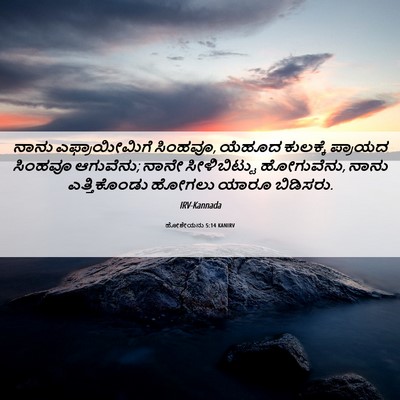 Picture 06 - ಹೋಶೇಯನು 5:14 KANIRV - ನಾನು ಎಫ್ರಾಯೀಮಿಗೆ - Bible Verse Picture