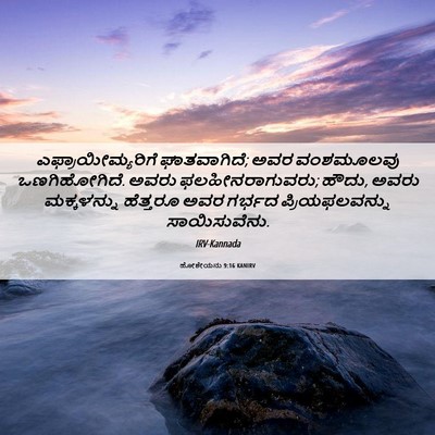 Picture 06 - ಹೋಶೇಯನು 9:16 KANIRV - ಎಫ್ರಾಯೀಮ್ಯರಿಗೆ - Bible Verse Picture