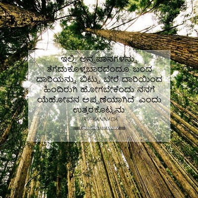 Picture 07 - 1 ಅರಸುಗಳು 13:17 KANIRV - ಇಲ್ಲಿ - Bible Verse Picture