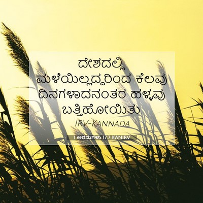 Picture 07 - 1 ಅರಸುಗಳು 17:7 KANIRV - ದೇಶದಲ್ಲಿ - Bible Verse Picture