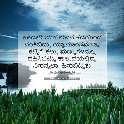 Picture 07 - 1 ಅರಸುಗಳು 18:38 KANIRV - ಕೂಡಲೇ ಯೆಹೋವನ - Bible Verse Picture