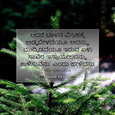 Picture 07 - 1 ಅರಸುಗಳು 19:18 KANIRV - ಆದರೆ ಬಾಳನ - Bible Verse Picture