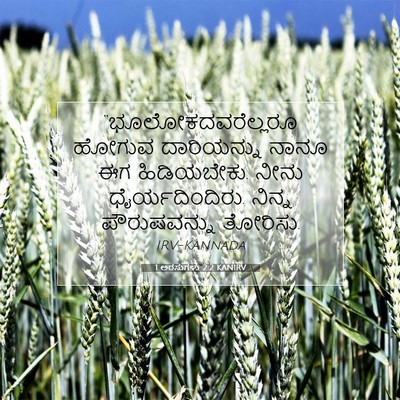 Picture 07 - 1 ಅರಸುಗಳು 2:2 KANIRV - “ಭೂಲೋಕದವರೆಲ್ಲರೂ - Bible Verse Picture