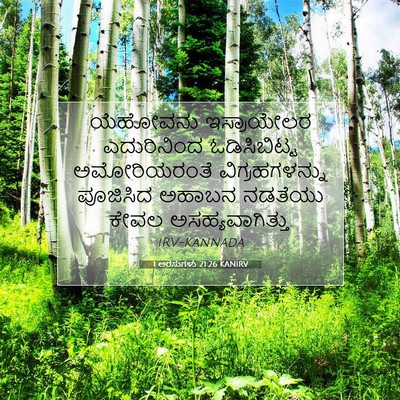 Picture 07 - 1 ಅರಸುಗಳು 21:26 KANIRV - ಯೆಹೋವನು ಇಸ್ರಾಯೇಲರ - Bible Verse Picture