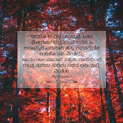 Picture 07 - 1 ಅರಸುಗಳು 22:35 KANIRV - ಆದರೂ ಆ ದಿನ ಯುದ್ಧವು - Bible Verse Picture
