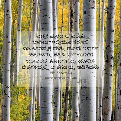 Picture 07 - 1 ಅರಸುಗಳು 6:32 KANIRV - ಎಣ್ಣೇ ಮರದ ಆ ಎರಡು - Bible Verse Picture