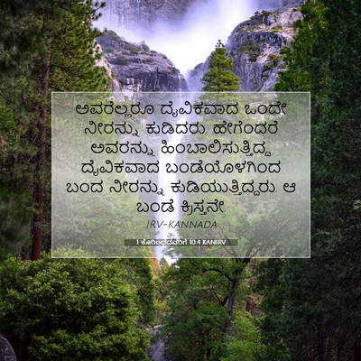 Picture 07 - 1 ಕೊರಿಂಥದವರಿಗೆ 10:4 KANIRV - ಅವರೆಲ್ಲರೂ - Bible Verse Picture