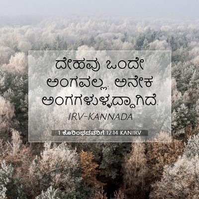 Picture 07 - 1 ಕೊರಿಂಥದವರಿಗೆ 12:14 KANIRV - ದೇಹವು ಒಂದೇ - Bible Verse Picture