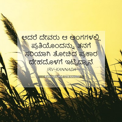 Picture 07 - 1 ಕೊರಿಂಥದವರಿಗೆ 12:18 KANIRV - ಆದರೆ ದೇವರು ಆ - Bible Verse Picture