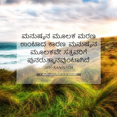 Picture 07 - 1 ಕೊರಿಂಥದವರಿಗೆ 15:21 KANIRV - ಮನುಷ್ಯನ ಮೂಲಕ ಮರಣ - Bible Verse Picture