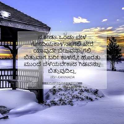 Picture 07 - 1 ಕೊರಿಂಥದವರಿಗೆ 15:37 KANIRV - ನೋಡು; ಒಂದು ವೇಳೆ - Bible Verse Picture