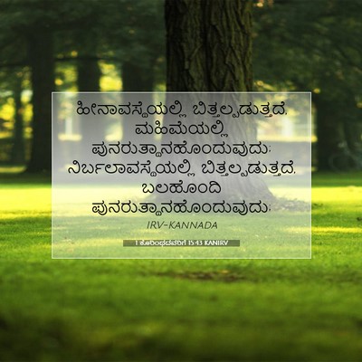 Picture 07 - 1 ಕೊರಿಂಥದವರಿಗೆ 15:43 KANIRV - ಹೀನಾವಸ್ಥೆಯಲ್ಲಿ - Bible Verse Picture