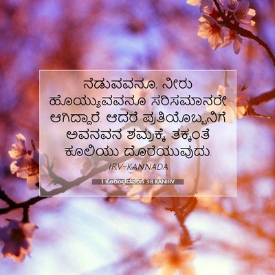 Picture 07 - 1 ಕೊರಿಂಥದವರಿಗೆ 3:8 KANIRV - ನೆಡುವವನೂ, ನೀರು - Bible Verse Picture