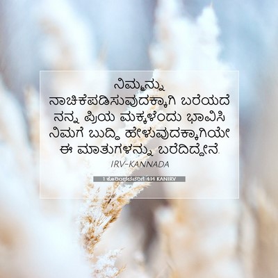 Picture 07 - 1 ಕೊರಿಂಥದವರಿಗೆ 4:14 KANIRV - ನಿಮ್ಮನ್ನು - Bible Verse Picture