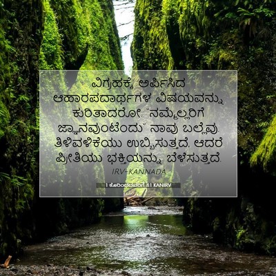 Picture 07 - 1 ಕೊರಿಂಥದವರಿಗೆ 8:1 KANIRV - ವಿಗ್ರಹಕ್ಕೆ - Bible Verse Picture