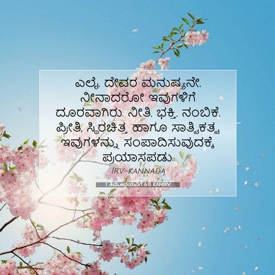 Picture 07 - 1 ತಿಮೊಥೆಯನಿಗೆ 6:11 KANIRV - ಎಲೈ, ದೇವರ ಮನುಷ್ಯನೇ, - Bible Verse Picture