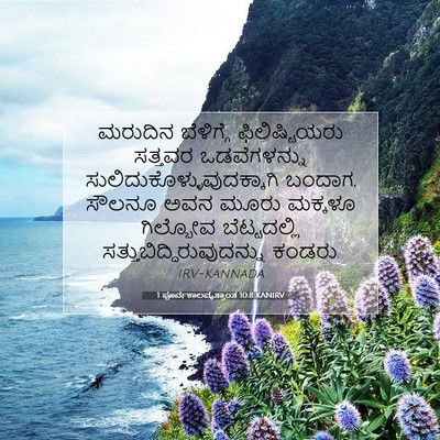 Picture 07 - 1 ಪೂರ್ವಕಾಲವೃತ್ತಾಂತ 10:8 KANIRV - ಮರುದಿನ ಬೆಳಿಗ್ಗೆ - Bible Verse Picture