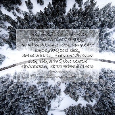 Picture 07 - 1 ಪೂರ್ವಕಾಲವೃತ್ತಾಂತ 13:2 KANIRV - “ನಿಮ್ಮ ಸಮ್ಮತಿಯೂ - Bible Verse Picture