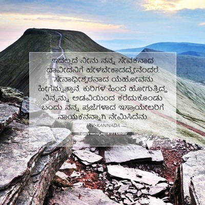 Picture 07 - 1 ಪೂರ್ವಕಾಲವೃತ್ತಾಂತ 17:7 KANIRV - ಇದಲ್ಲದೆ ನೀನು ನನ್ನ - Bible Verse Picture