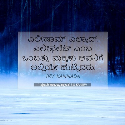Picture 07 - 1 ಪೂರ್ವಕಾಲವೃತ್ತಾಂತ 3:8 KANIRV - ಎಲೀಷಾಮ್, ಎಲ್ಯಾದ್, - Bible Verse Picture