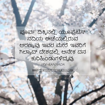 Picture 07 - 1 ಪೂರ್ವಕಾಲವೃತ್ತಾಂತ 5:9 KANIRV - ಪೂರ್ವ ದಿಕ್ಕಿನಲ್ಲಿ - Bible Verse Picture