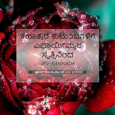 Picture 07 - 1 ಪೂರ್ವಕಾಲವೃತ್ತಾಂತ 6:66 KANIRV - ಕೆಹಾತ್ಯರ - Bible Verse Picture