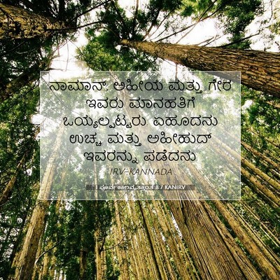 Picture 07 - 1 ಪೂರ್ವಕಾಲವೃತ್ತಾಂತ 8:7 KANIRV - ನಾಮಾನ್, ಅಹೀಯ ಮತ್ತು - Bible Verse Picture